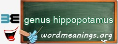 WordMeaning blackboard for genus hippopotamus